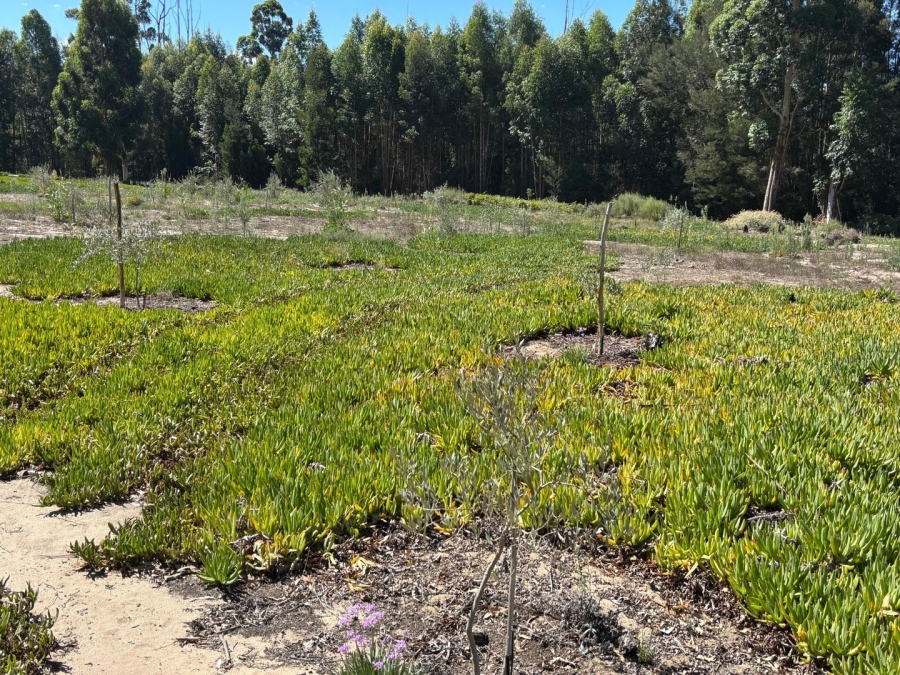 3 Bedroom Property for Sale in Twee Riviere Eastern Cape